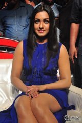 Sarrainodu Movie Blockbuster Function